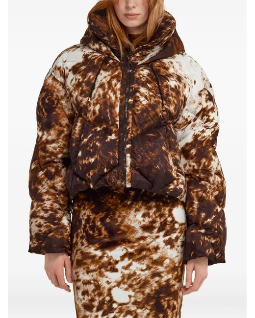 Roberto Cavalli Brown Appaloosa-Print Puffer Jacket