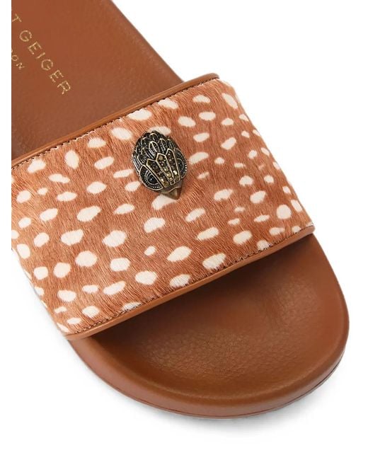 Kurt Geiger Brown Meena Eagle Slides