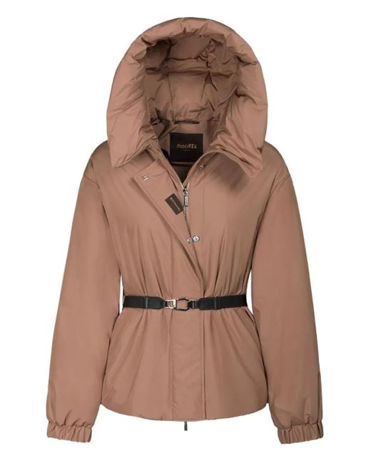 Moorer Brown Hooded Belted Jacket