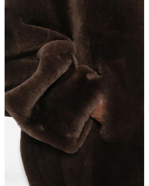 Blancha Lammy Jack in het Black