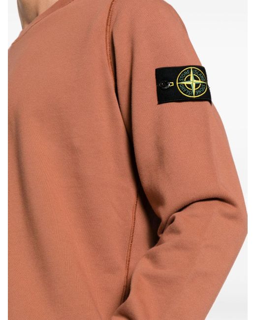 Stone Island Sweatshirt mit Kompass-Patch in Brown für Herren
