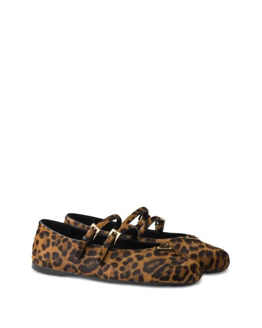 Prada Brown Low Shoes
