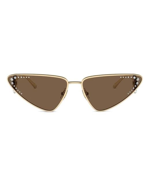 Jimmy Choo Brown Cat-Eye Frame Sunglasses