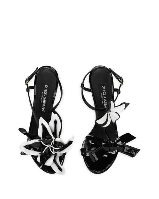 Dolce & Gabbana Black Floral-Appliqué Leather Stiletto Sandals