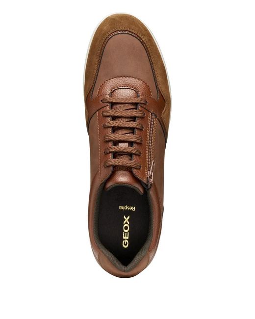 Geox Brown Avery Sneakers for men