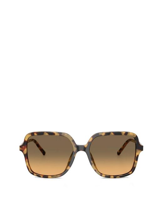 Dolce & Gabbana Brown Oversized-Frame Sunglasses