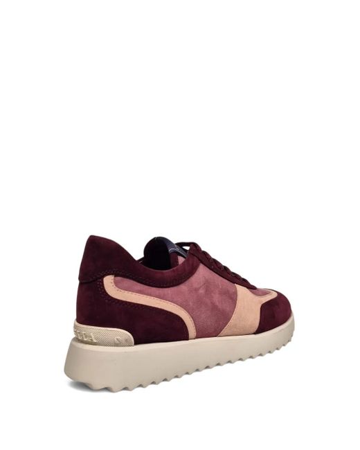 Le Silla Purple Suede Sneakers