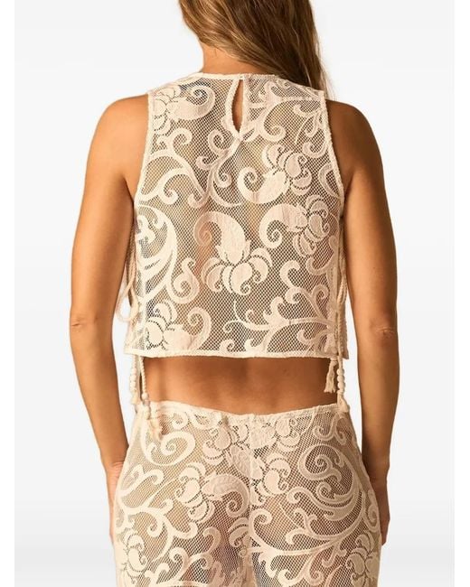 JBQ Brown Bimini Cropped Top
