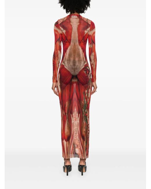 Jean Paul Gaultier Maxi Mesh -jurk Met Ecorché -print in het Red