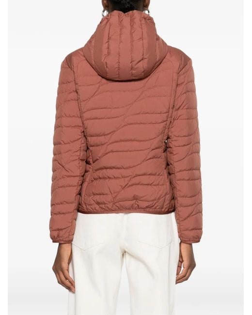 Moncler Gewatteerd Donsjack in het Red