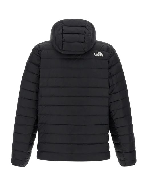 The North Face Blue Classic' Down Jacket for men