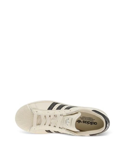 Adidas Natural Superstar Ii Shell-Toe Sneakers