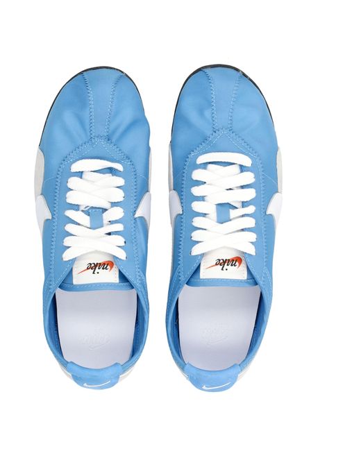 Nike Blue Moon Shoe