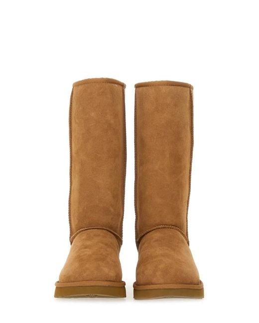 Ugg Brown Boot "Classicl Tall Ii"