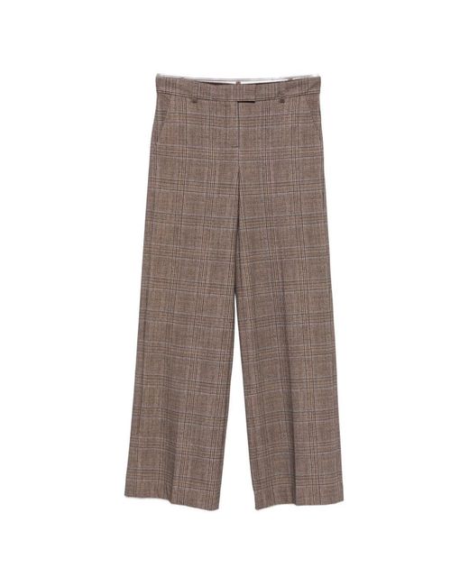 Circolo 1901 Brown Cotton Trousers