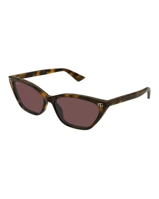 Gucci Brown Gg1815S 002