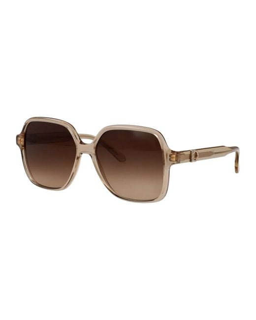 Ferragamo Brown Transparent Acetate Sunglasses