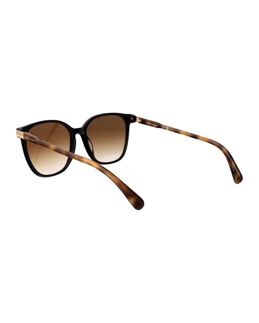 Longchamp Brown Havana Acetate Sunglasses