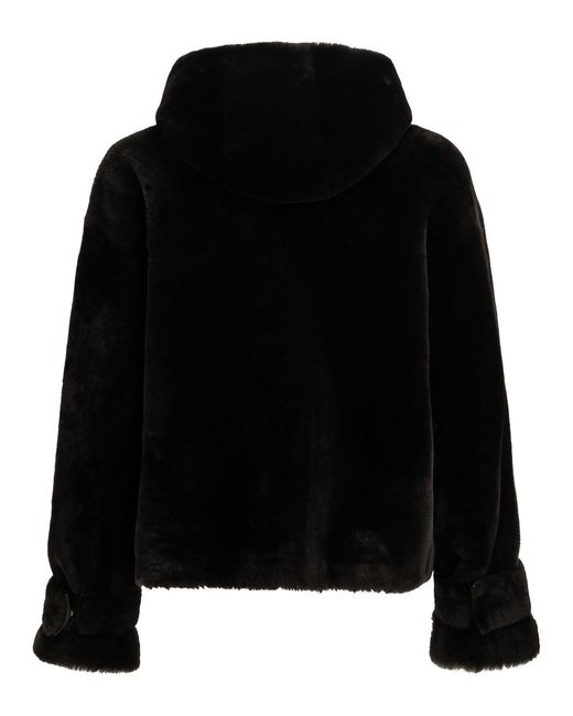 Blancha Black Jackets & Coats