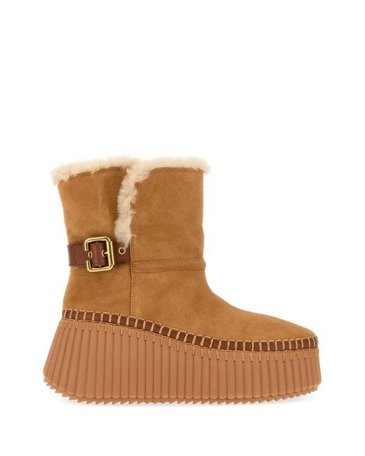 Chloé Brown Chloe 14M
