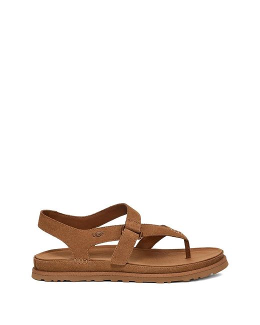 Ugg Brown W Goldengaze Toe Post
