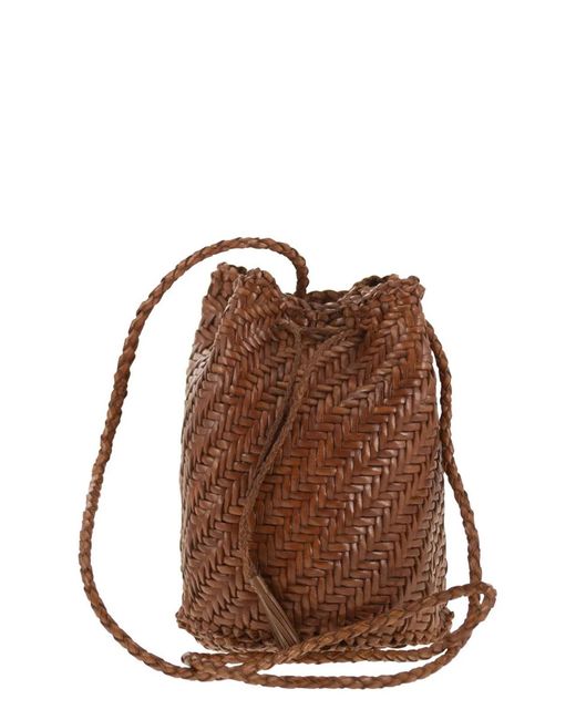 Dragon Brown Pompom Double Jump