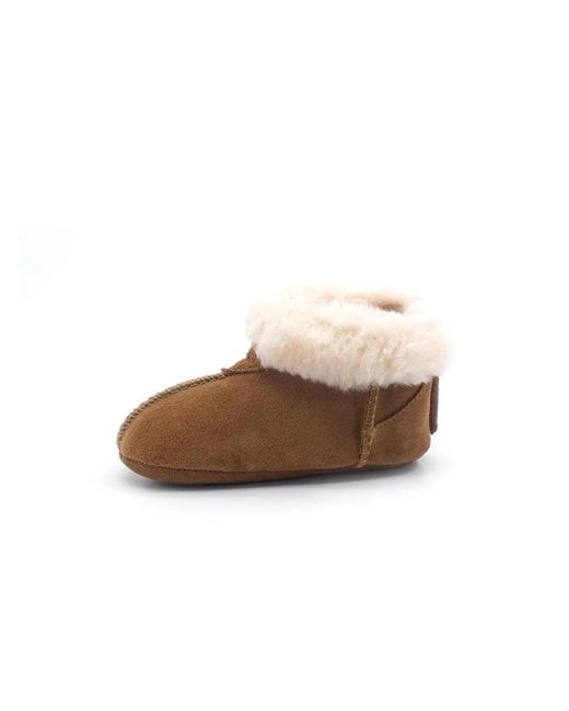 Ugg Brown Boot "Gojee"