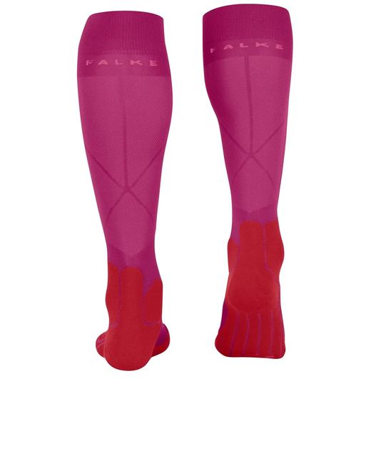 Falke Pink Sk5 Expert