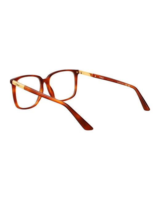 Chloé Brown Havana-Havana-Transparent Acetate Glasses