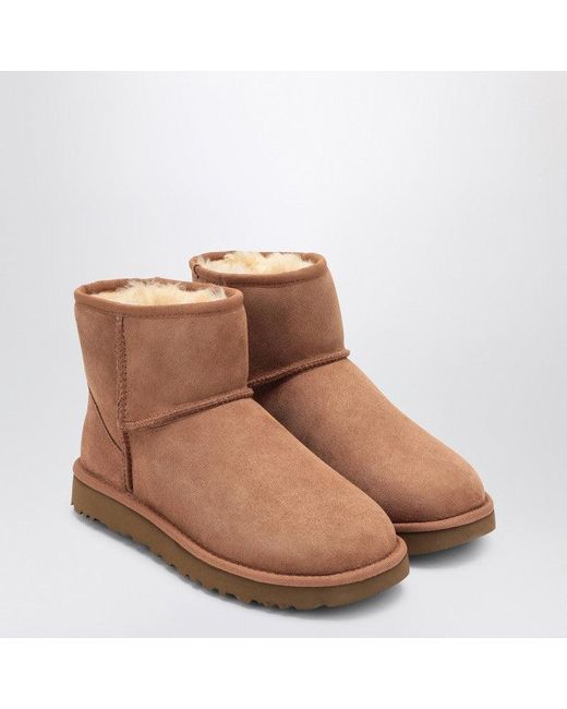 Ugg Brown Classic Mini Ii Chestnut Boot