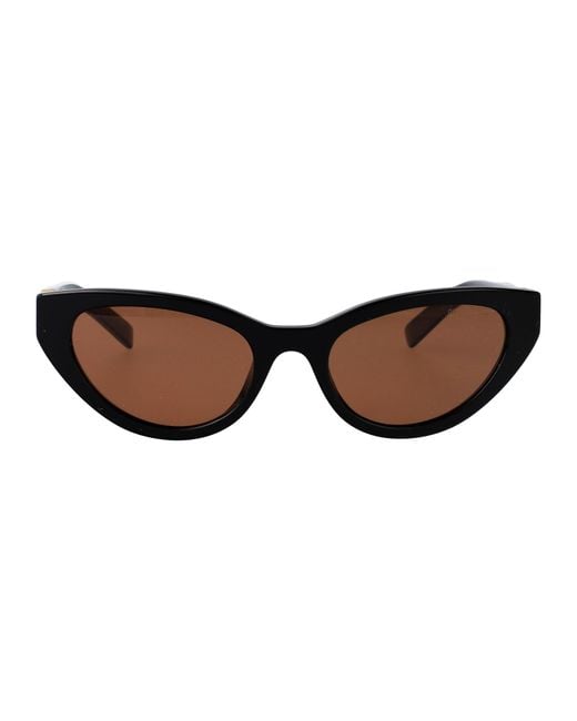Miu Miu Brown Nero Acetate Sunglasses