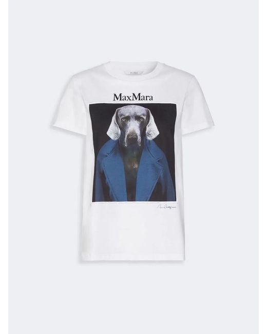 Max Mara Blue Mxmcalca