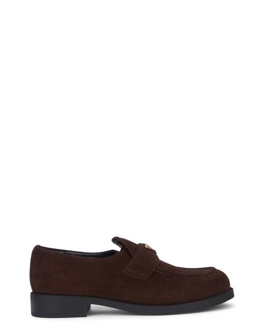 Prada Brown Only_Catflow