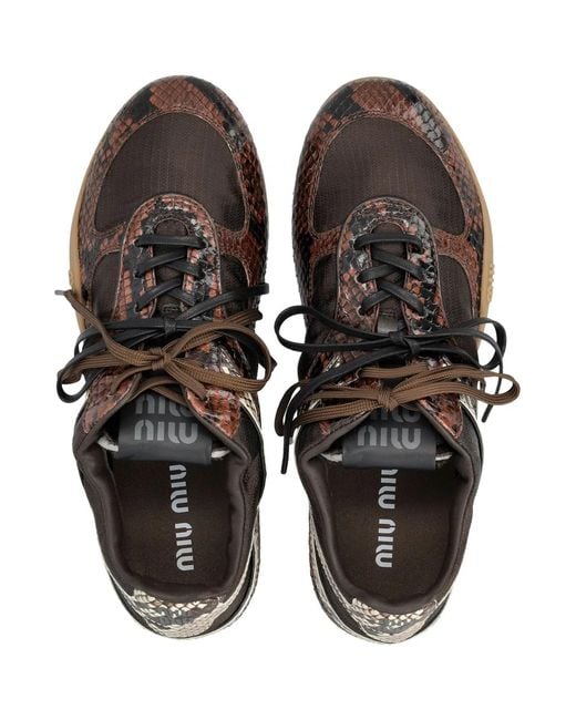 Miu Miu Brown Gymnasium Sneakers
