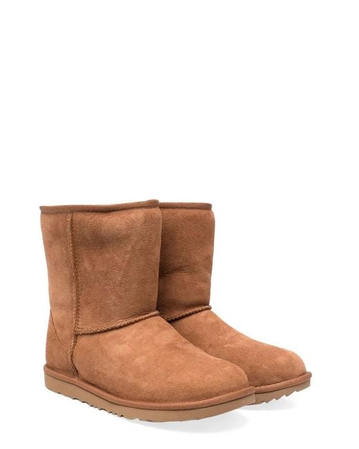 Ugg Brown Classic Ii Chestnut