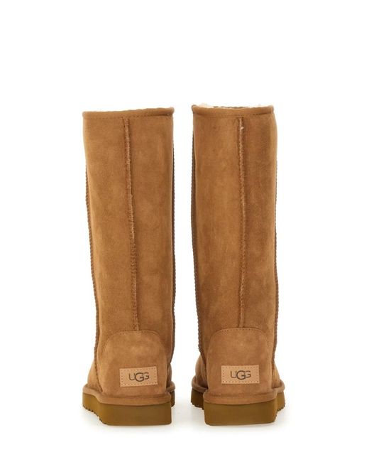 Ugg Brown Boot "Classicl Tall Ii"