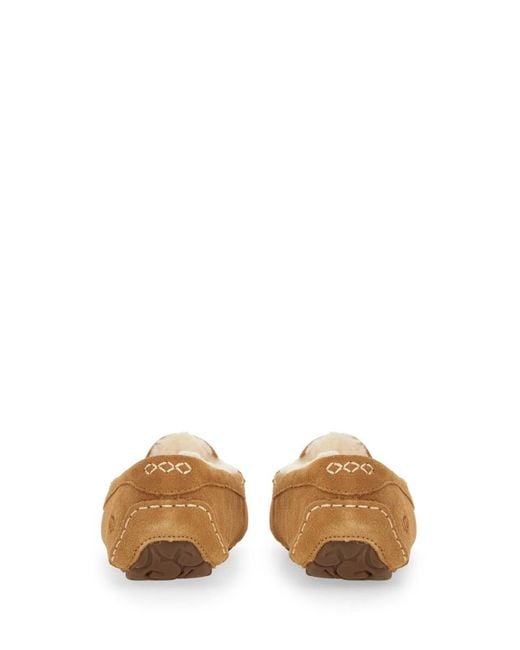Ugg Brown Slipper "Ansley"