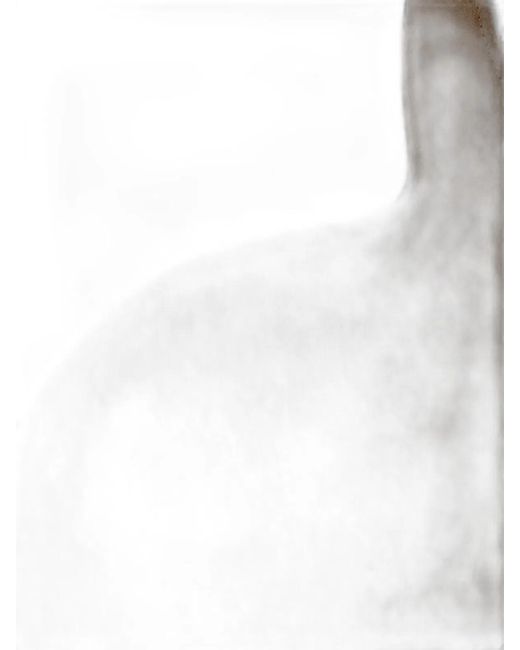 Coperni Brown Double Heart Shoulder Bag