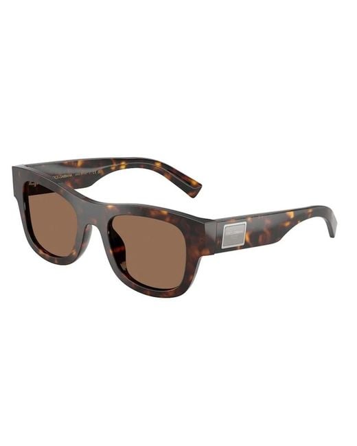 Dolce & Gabbana Brown Dolce & Gabbana Dolce & Gabbana Dg4509 502/73 for men