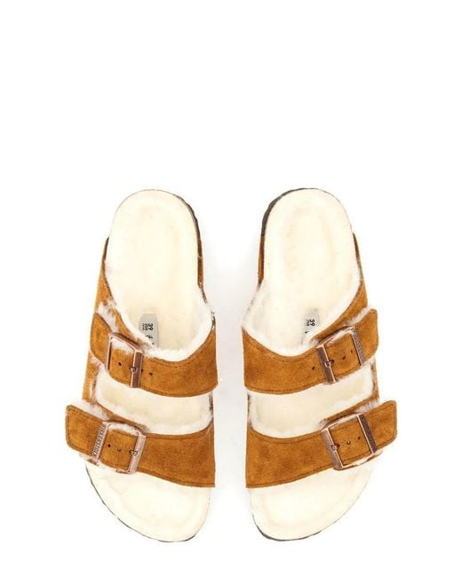 Birkenstock Brown Arizona Sandal