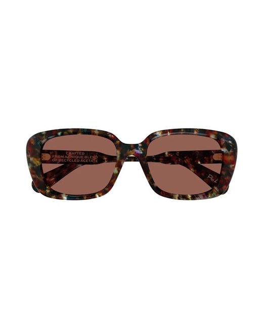 Chloé Brown Ch0225Sk 004