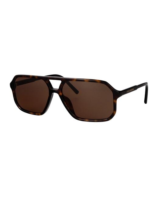 Dolce & Gabbana Brown Dolce & Gabbana Acetate Sunglasses