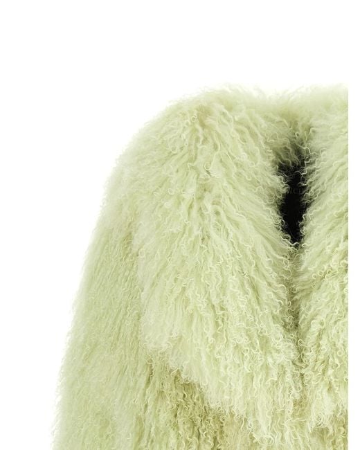 Blancha Yellow 'Mongolia' Fur