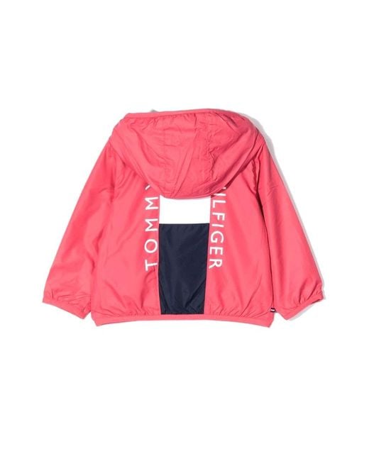 Tommy Hilfiger Pink Baby Colorblock Jacket