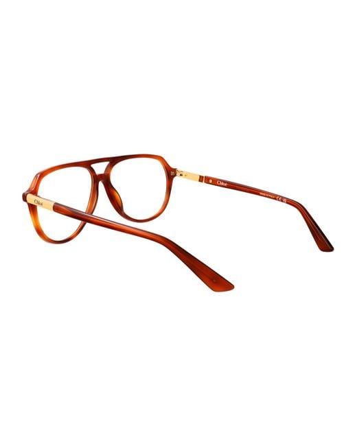 Chloé Brown Havana-Havana-Transparent Acetate Glasses