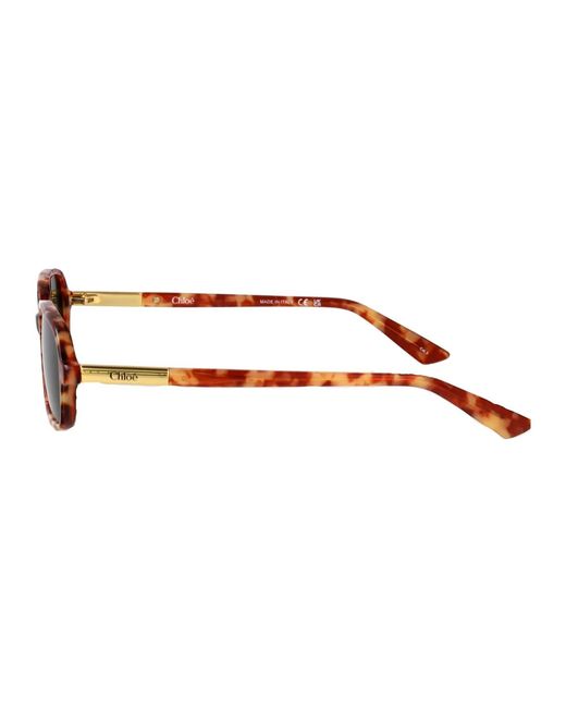 Chloé Green Havana-Havana- Acetate Sunglasses