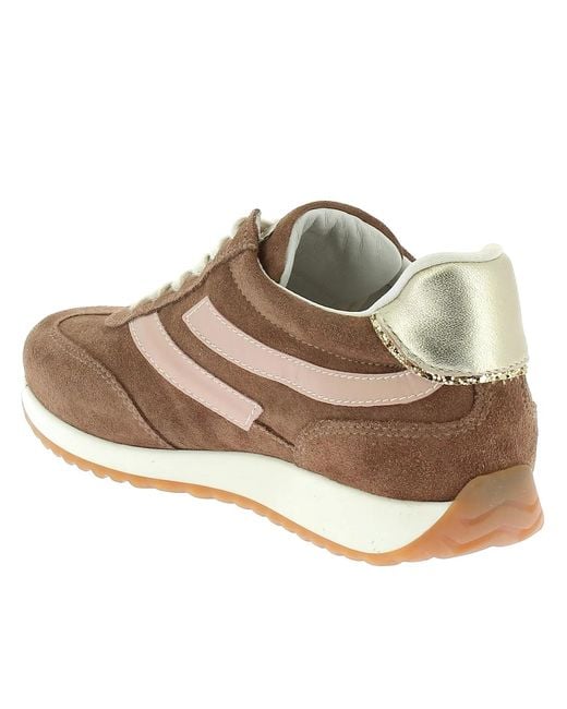 Nero Giardini Brown Sneaker