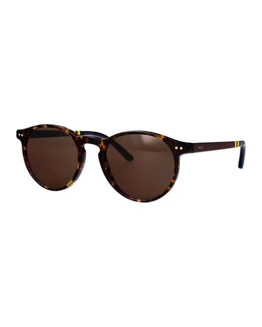 Polo Ralph Lauren Brown Acetate Sunglasses for men
