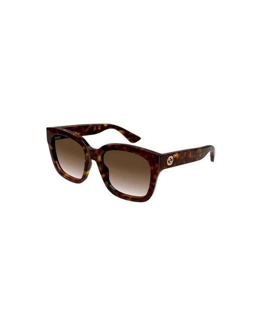 Gucci Brown Gg1338Sk 002