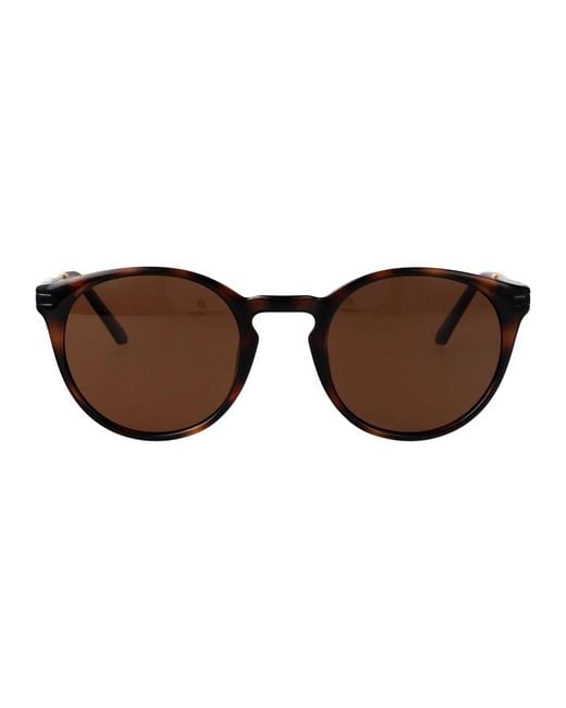 Calvin Klein Brown Injected Sunglasses